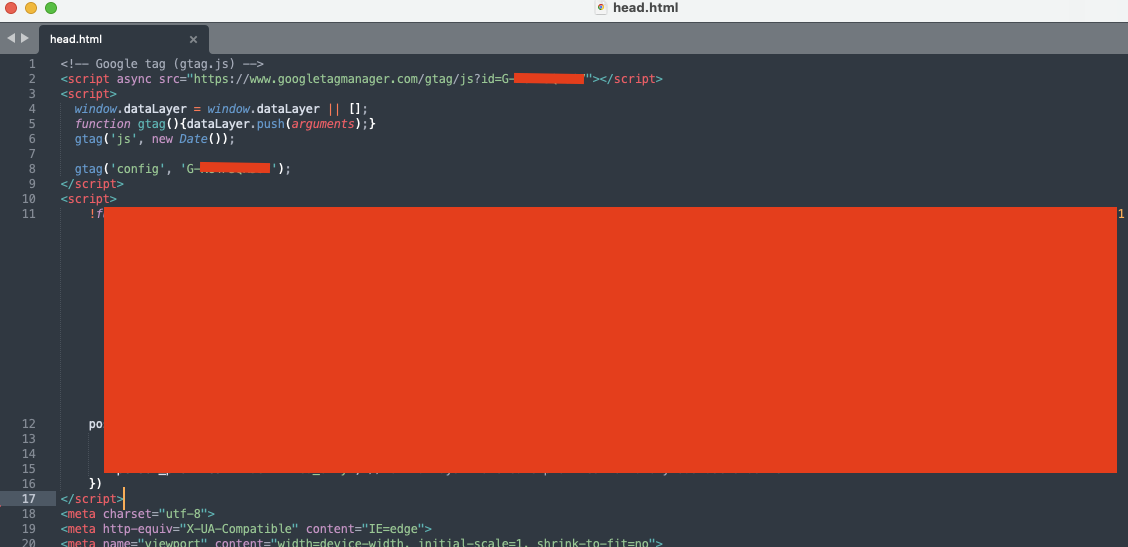 hugo-theme-head-code