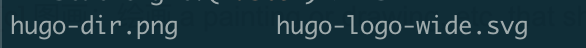 Hugo static